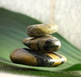 The Nature of Balance - Tourism Brisbane