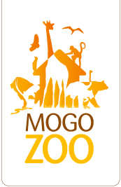 Mogo NSW Brisbane Tourism