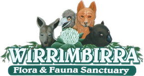 Wirrimbirra Sanctuary - Brisbane Tourism 0
