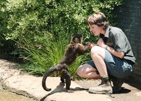 National Zoo & Aquarium - Tourism Brisbane 1