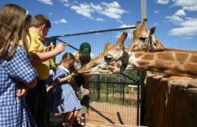 National Zoo & Aquarium - Tourism Brisbane 2