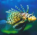 Underwater World - Tourism Brisbane