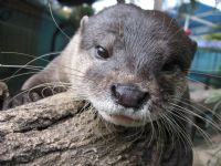 Underwater World - Brisbane 4u 1
