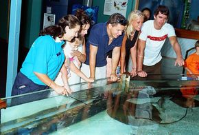 Underwater World - Brisbane 4u 3