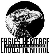 Eagles Heritage - Tourism Brisbane 0
