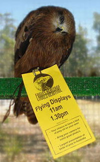 Eagles Heritage - Tourism Brisbane 1