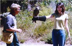 Eagles Heritage - Tourism Brisbane 2