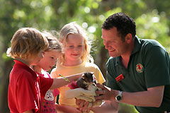 Cleland Wildlife Park - Brisbane Tourism 0