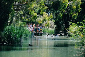 Cleland Wildlife Park - Brisbane Tourism 1