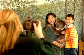Cleland Wildlife Park - Brisbane Tourism 2
