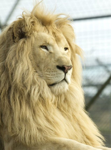 Zoo Doo Wildlife Park - Brisbane 4u 3