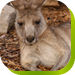 Calmsley Hill City Farm - Tourism Brisbane 0