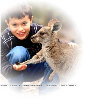 Australia Walkabout Wildlife Park - Brisbane Tourism 1