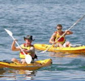 Manly Kayaks - Tourism Brisbane