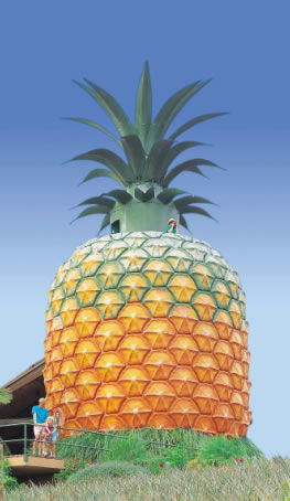 The Big Pineapple - Brisbane Tourism 0