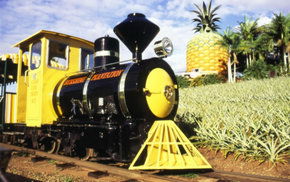 The Big Pineapple - Brisbane Tourism 3