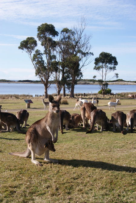 East Coast Natureworld - Tourism Brisbane 1