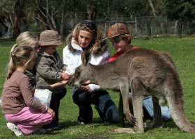 Gumbuya Park - Tourism Brisbane 1