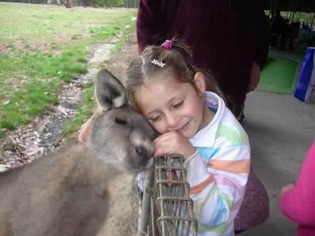 Gumbuya Park - Tourism Brisbane 3