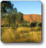  Tourism Brisbane