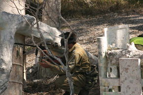 Action Paintball Games - Sydney - Brisbane Tourism 3