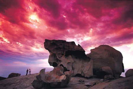 Kangaroo Island Adventure Tour 2 Day/1 Night - Tourism Brisbane 0