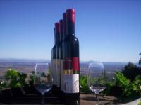 Mount Tamborine Winery & Homestead - Brisbane Tourism 0