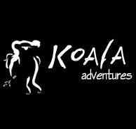 Koala Adventures - Tourism Brisbane