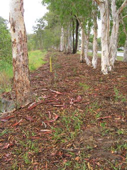 Kumbartcho Sanctuary - Tourism Brisbane 1
