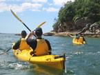Sydney Harbour Kayaks - Tourism Brisbane 1
