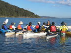 Sydney Harbour Kayaks - Tourism Brisbane 2