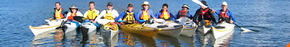 Sydney Harbour Kayaks - Tourism Brisbane 3