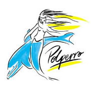 Polperro Dolphin Swims - Tourism Brisbane