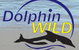 Dolphin Wild - thumb 0