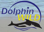 Dolphin Wild - Tourism Brisbane 0