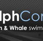 Dolphcom - Dolphin  Whale Swimming Adventures - Tourism Brisbane