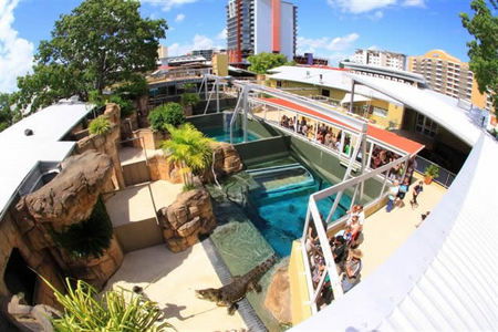 Crocosaurus Cove - Tourism Brisbane 1