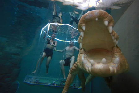 Crocosaurus Cove - Tourism Brisbane 3
