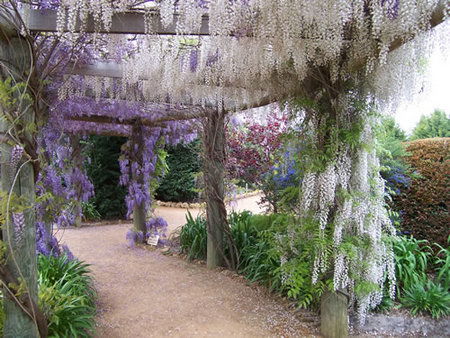 Barragup WA Tourism Brisbane