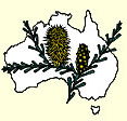 Australian National Botanic Gardens - Brisbane Tourism