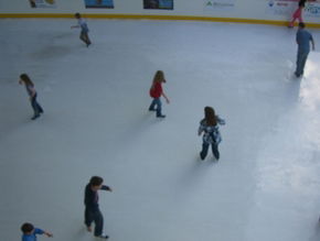 Liverpool Catholic Club Rink - Tourism Brisbane 3