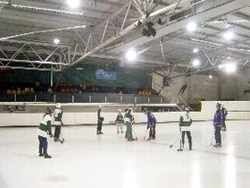 The Ice Arena - Brisbane Tourism 2