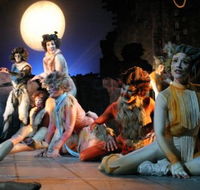 Harvest Rain Theatre Company - Tourism Brisbane