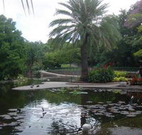 Brisbane City Botanic Gardens - Tourism Brisbane