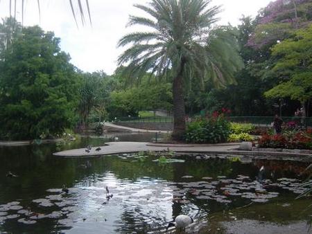 Brisbane City Botanic Gardens - Brisbane 4u 0