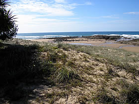 Deepwater National Park - Tourism Brisbane 0