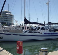 Coral Sea Dreaming Dive and Sail - Tourism Brisbane