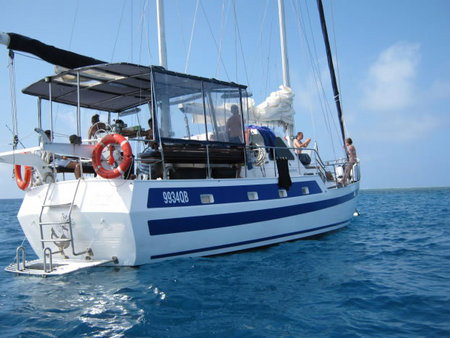 Coral Sea Dreaming Dive And Sail - Tourism Brisbane 3