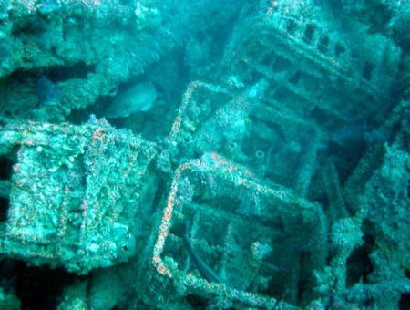 Underwater Sports Diving Centre - Tourism Brisbane 0