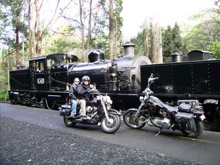 Andy's Harley Rides - Brisbane Tourism 0